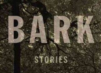 The Best Fiction of 2014