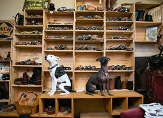 The Best Gifts for Pet Lovers