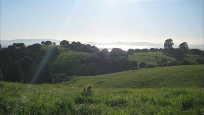 The Cruel Irony Of The Oakland Zoo Expansion East Bay Express Oakland Berkeley Alameda