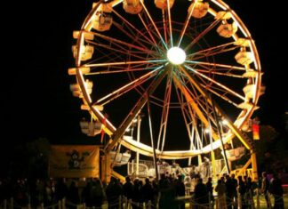 A Homegrown Music Festival to Treasure