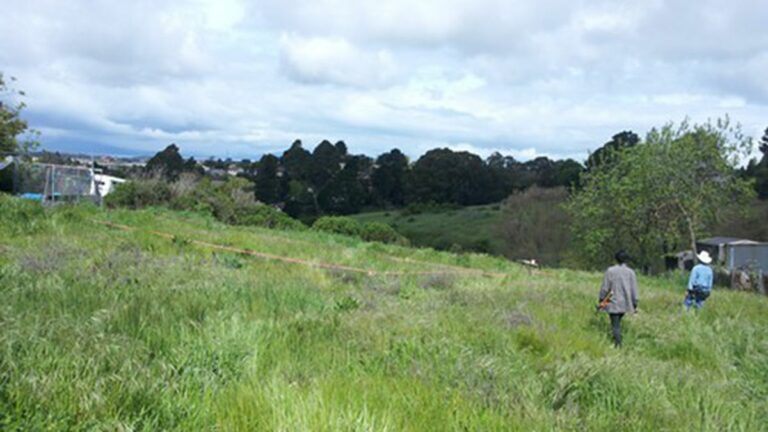 A New Ecovillage Farm, Twenty Minutes from Downtown Oakland