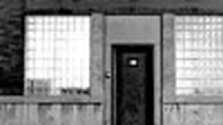 The Minus 5