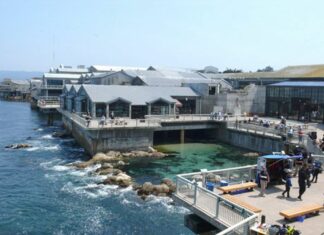 Monterey Bay Aquarium Can Dump Wastewater