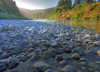 Environmentalists File Second Lawsuit to Protect Threatened Smith River
