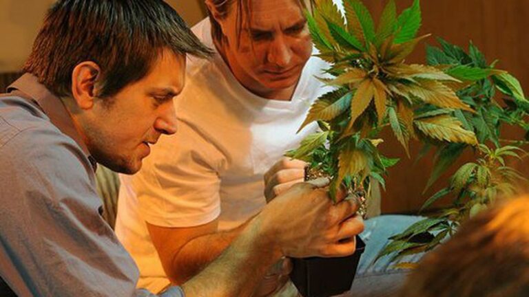 Tonight on National Geographic’s “American Weed”