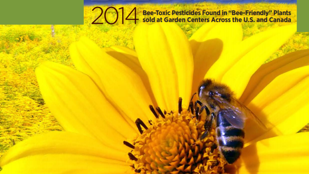 Toxic Pesticides Discovered in "Bee-Friendly" Garden Plants Sold at