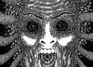 Ty Segall Band