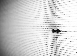 Last Night’s Earthquake Proved That Earthquake Twitter Is Ideal Twitter