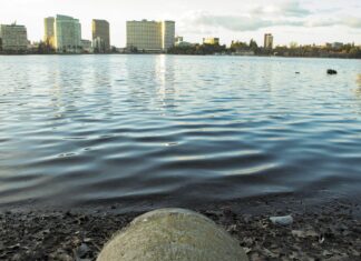 Oakland Officials Call for Probes of Sewage Leaks