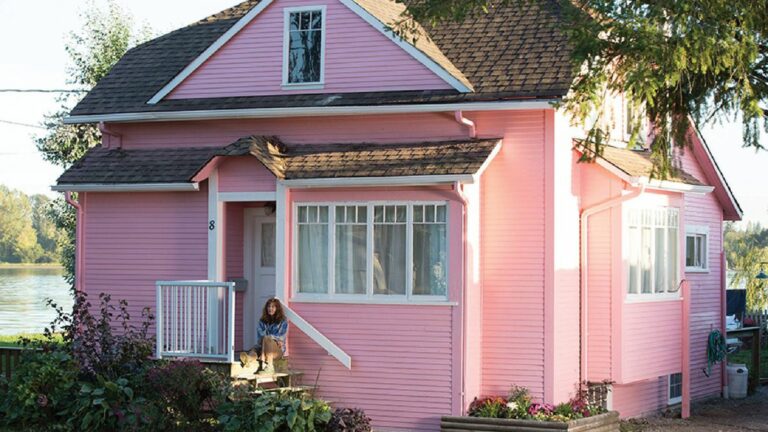 Little Pink House: Catherine Keener Leads an Anti-Eviction Rebellion