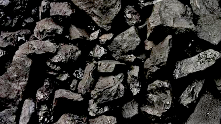 Judge Rules in Favor of Oakland Coal Project