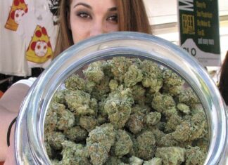 How to Have an Epic Cannabis Summer