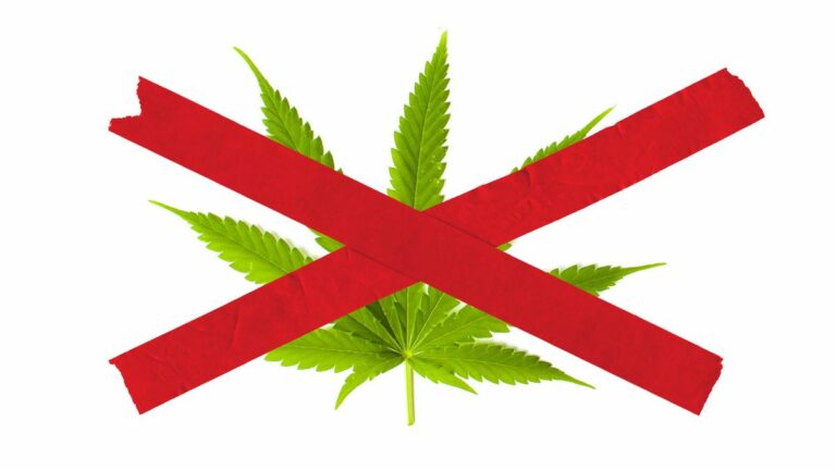 Cannabis Businesses Describe ‘Absolute Chaos’ in Light of New State Rules