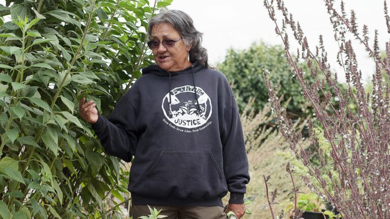 Oakland Organic Gardener Wins Battle Against Roundup