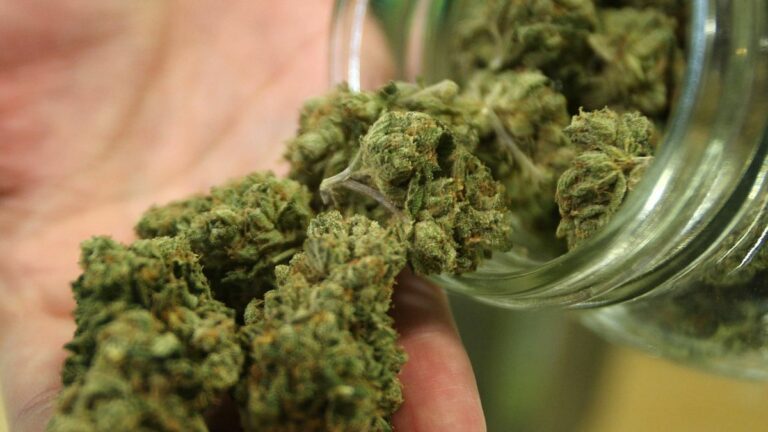 Thursday’s Briefing: California’s Legal Weed Market Is a Bust; Alameda Teachers Reach Pay-Raise Deal