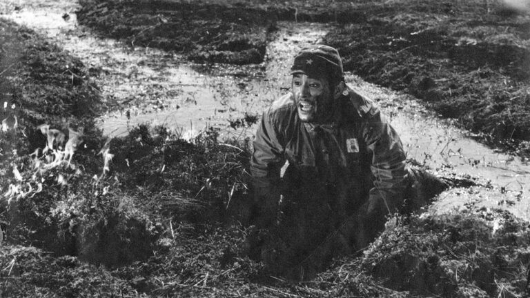 The Disasters of War