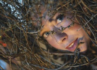 Fall Arts Picks
