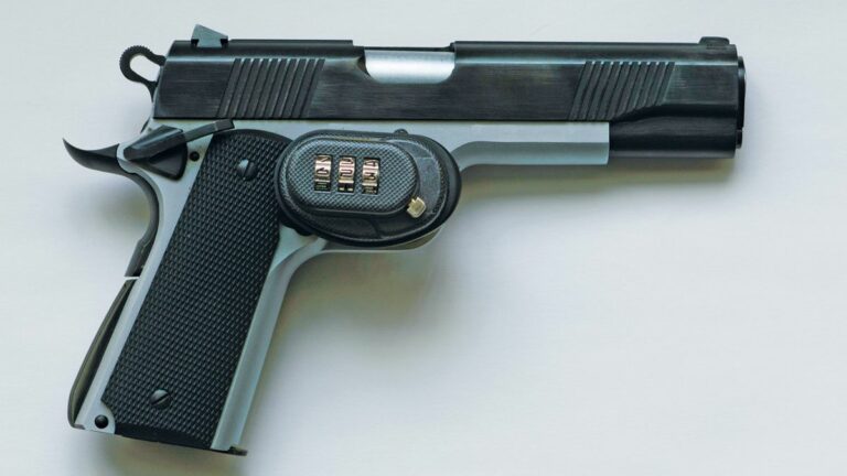 Alameda Council Set to Consider a Pair of Gun-Safety Ordinances