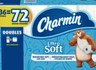 Imagine a World With No Toilet Paper