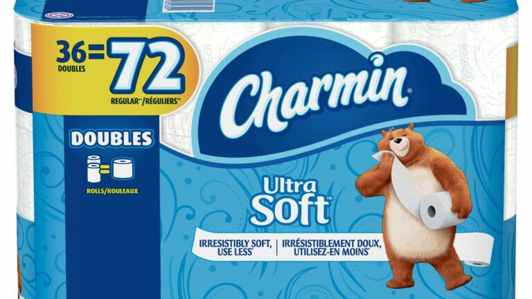 Imagine a World With No Toilet Paper