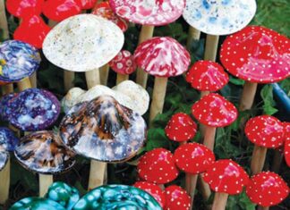 ‘Magic Mushroom Club’ Raided