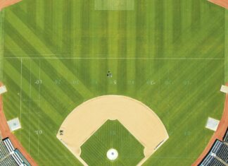 Fires, Fear and Baseball without Fans