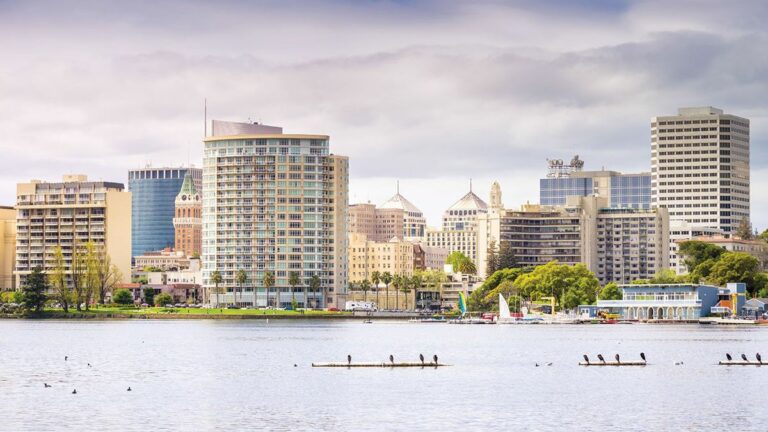 2020 Election Guide: Oakland, Berkeley, Alameda and the county Board of Supervisors