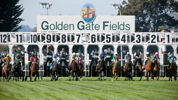 golden_gate_fields-featured