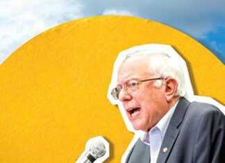 The Summer of Sanders