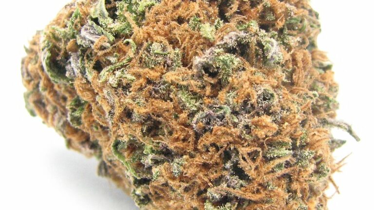 Californians Might Sell $2 Billion in Legal Weed In Year One