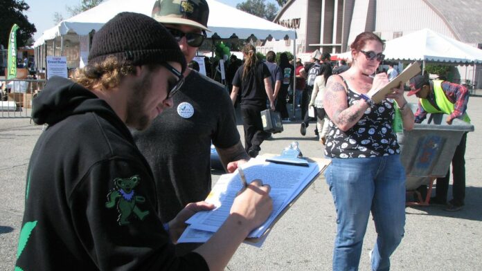 California Marijuana Legalization In Disarray — Campaigns Late, Divided