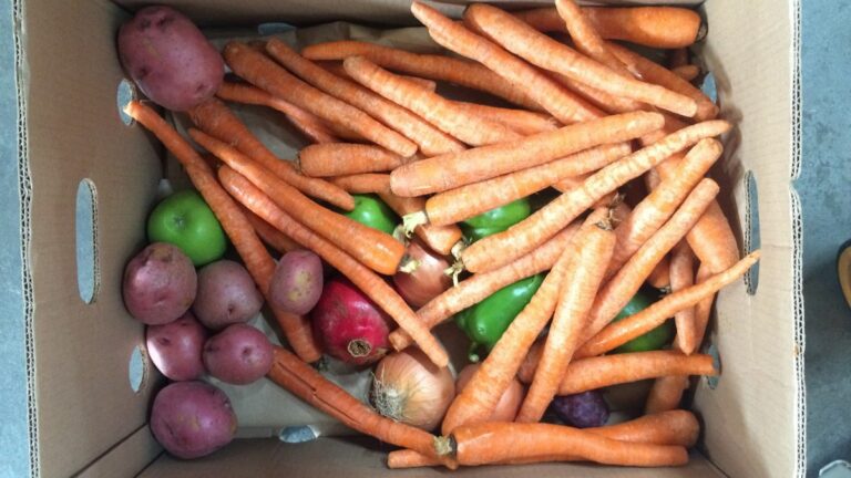 An Anti-Waste Kitchen Takes Root in Alameda