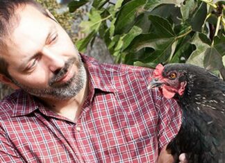 Turning Blight into Urban Gardens and Homes