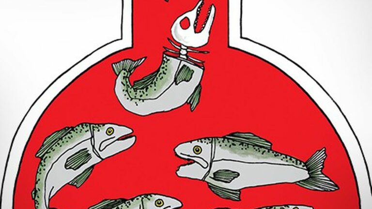 Salmon RIP?