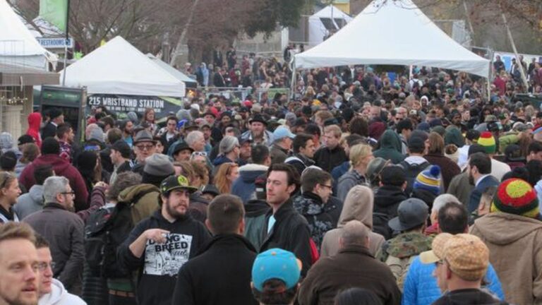 Pesticides on Medical Marijuana Force Huge Pot Contest, The Emerald Cup, to Tighten Its Rules