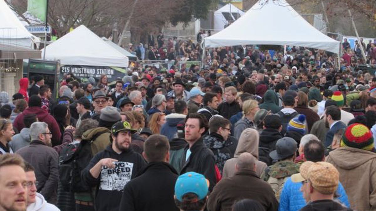 Pesticides on Medical Marijuana Force Huge Pot Contest, The Emerald Cup ...