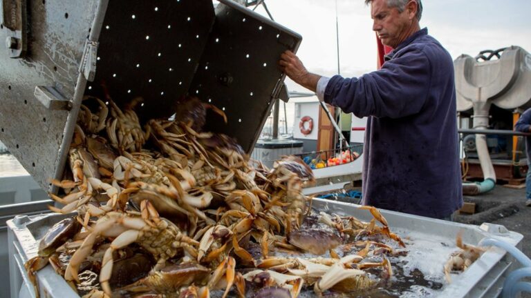 Monday Must Reads: BART Problems Continue; Dungeness Crab Season to Finally Open