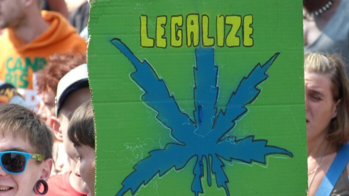 Thank Donald Trump if California Legalizes Weed