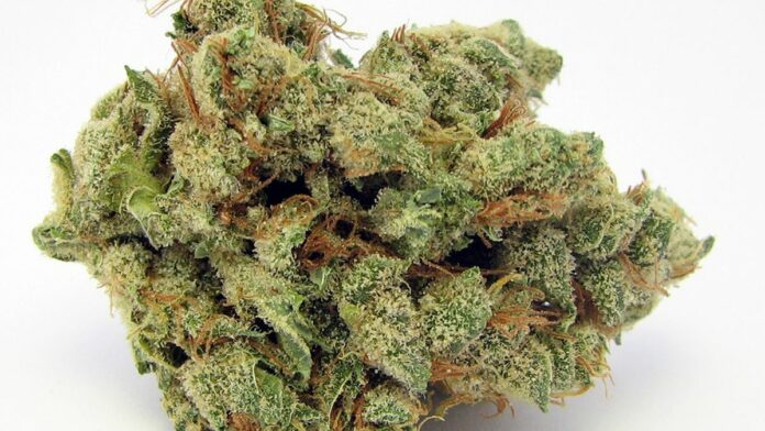 Marijuana Could Lose Its Federal ‘Most Dangerous Drug’ Status By June