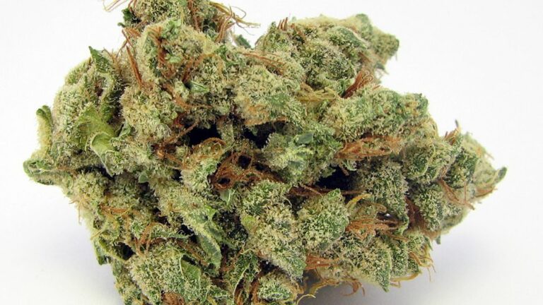 Marijuana Could Lose Its Federal ‘Most Dangerous Drug’ Status By June