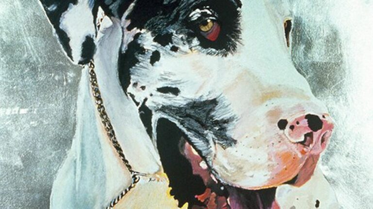 Seven East Bay Holiday Gift Ideas … For Your Pets and Pet-Loving Friends