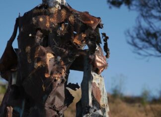 Albany Bulb: A Landfill Turned Art Gallery Turned Environmental Preserve