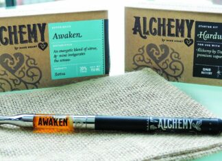Dark Heart’s Alchemy Experience Box Gives You Cannabis to Vape And Something To Do