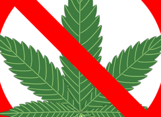 City of Albany Expands Ban on Marijuana Businesses, Outdoor Growing