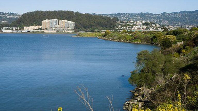 Albany Bulb Eviction Lawsuit Settled, Homeless Residents to Receive Cash Payments