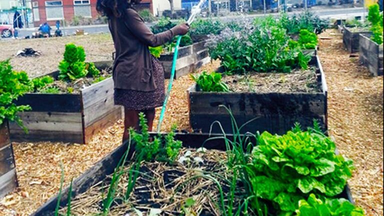A Minor Victory Against Gentrification in West Oakland