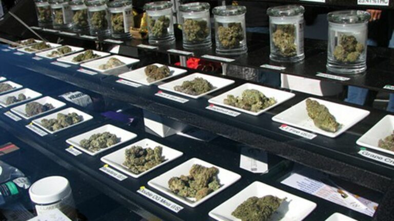 L.A. Dispensary Operators Prepare to Play Chicken With the City