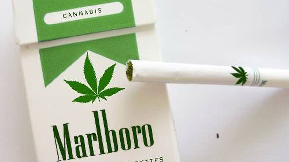 Big Tobacco’s HushHush '70s Plan To Get Into Weed East Bay Express