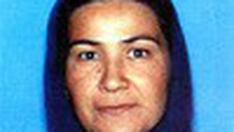Who’s Killing the Immigrant Mothers of  Fremont?