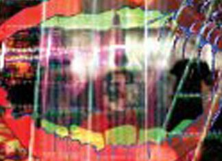Animal Collective